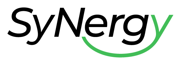 Cluster of Excellence: SyNergy logo